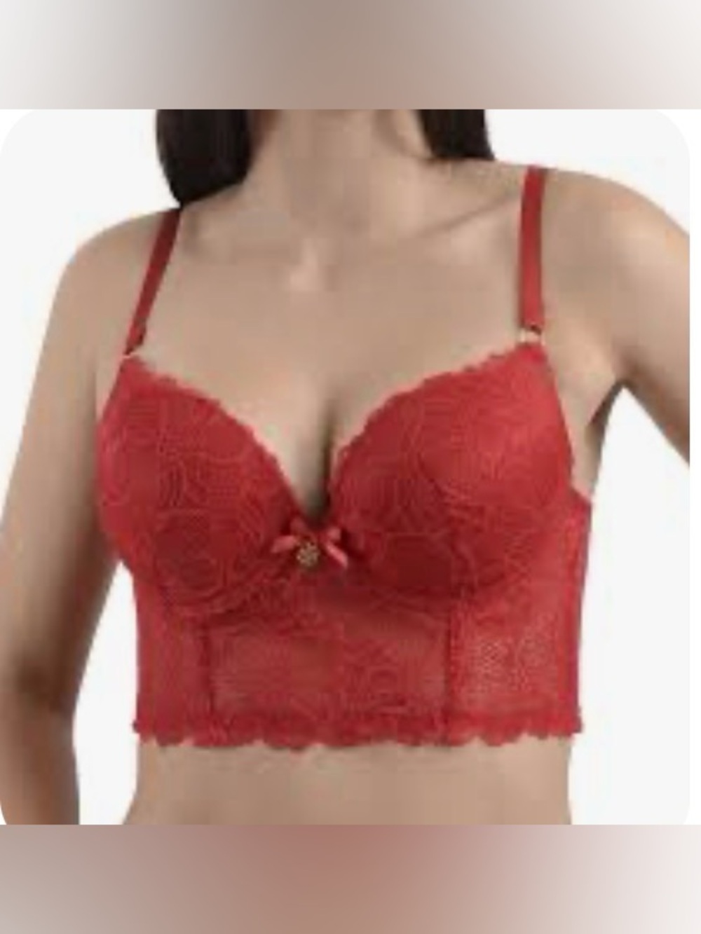 NWOT DAISY FUENTES Corset bra size women’s 34C